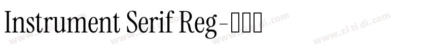 Instrument Serif Reg字体转换